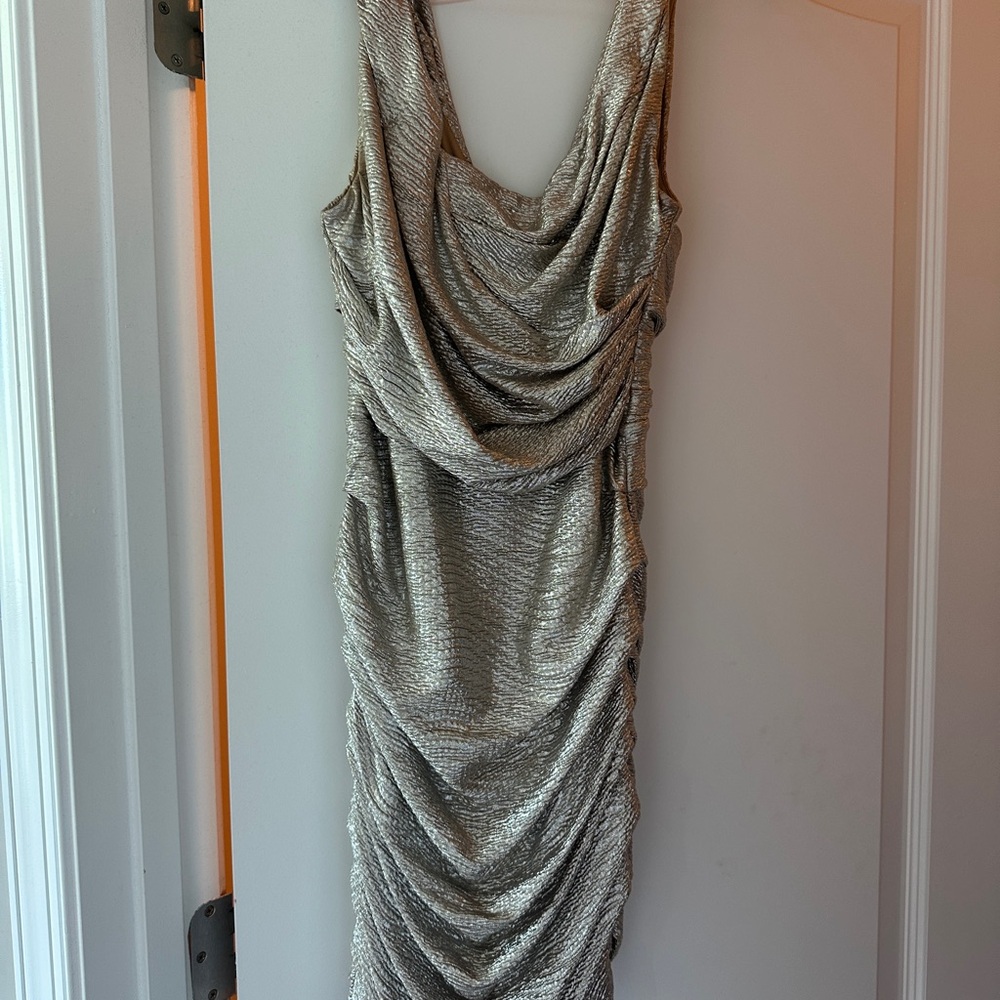 Elegant Silver Draped Dress